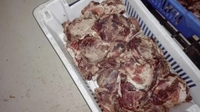 إحباط إغراق مطاعم العاصمة باللحوم الفاسدة