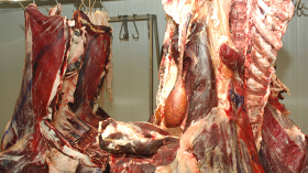 أعوان الرّقابة بالمدية يجنبون التلاميذ كارثة يوم الامتحان