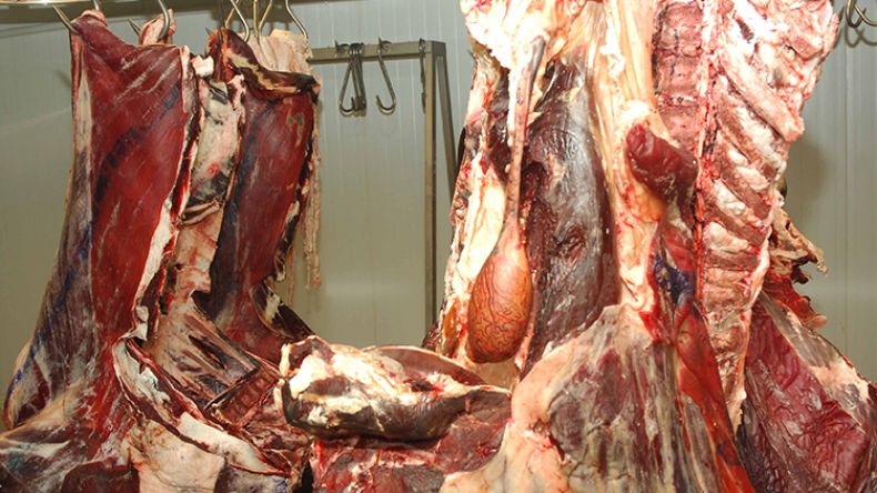 أعوان الرّقابة بالمدية يجنبون التلاميذ كارثة يوم الامتحان