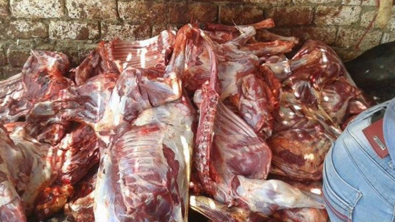 “عرس بغل”!