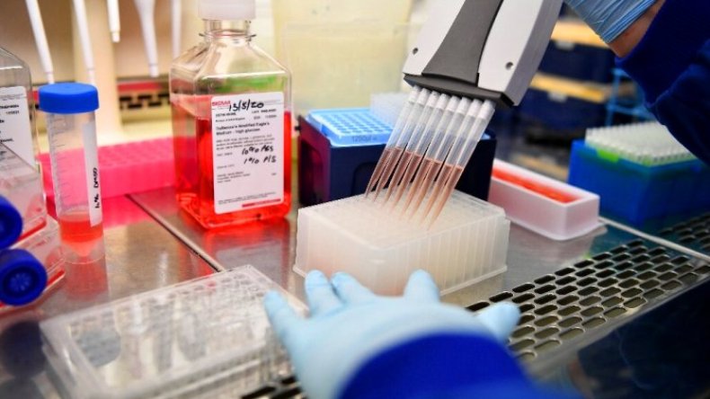 أي لقاح ضد كورونا يجب أن يكون متاحاً للجميع