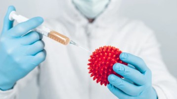 مرحبا بلقاح “الصهر”