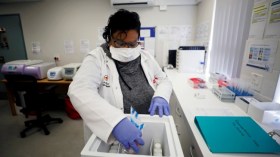 لقاح السل قد يزيد المناعة ضد كورونا