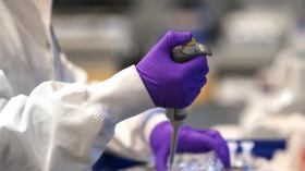 كورونا ظهر لأول مرة في سبتمبر جنوبي الصين