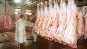 مذبحة في حق المذابح العمومية بسطيف والمنتخبون يستنجدون!