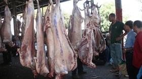 حديث عن هدم مذبح رويسو شهر نوفمبر الداخل