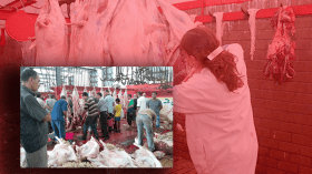 ولاية الجزائر تقرر نقل مذبح الرويسو باتجاه براقي