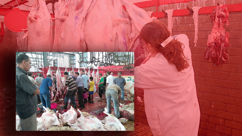 ولاية الجزائر تقرر نقل مذبح الرويسو باتجاه براقي