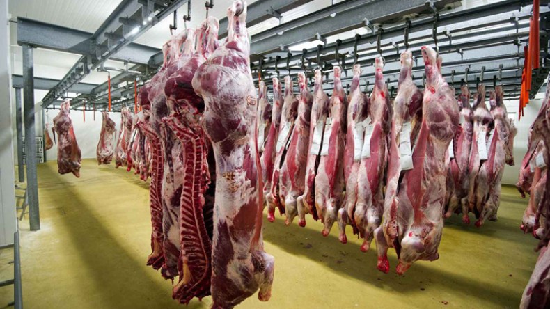 مدير المصالح البيطرية: الجزائر العاصمة ليست بؤرة للحمى القلاعية