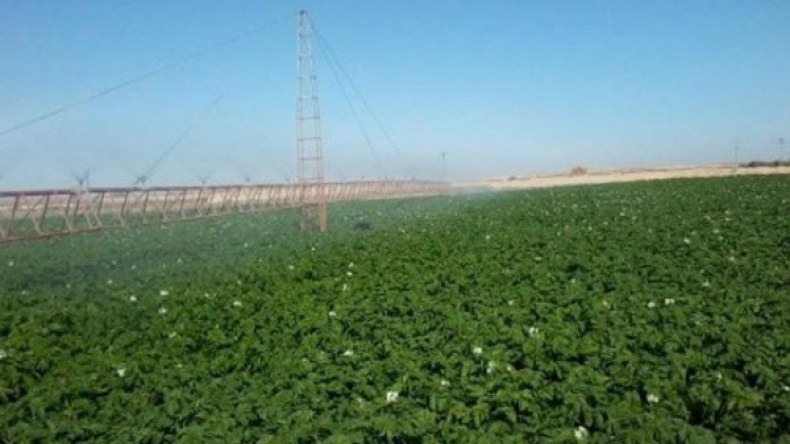 مستثمرة فلاحية بشراكة تركية جزائرية بورقلة