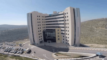 تحيّـةً للعقـل الفلسطيني!