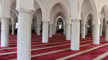 تشييد المسجد من أهم دعائم الدولة الإسلامية في المدينة