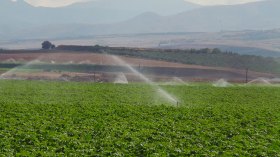 تحقيقات تستهدف 1600 مستثمرة فلاحية في المسيلة