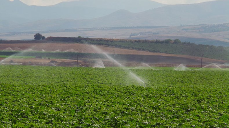 تحقيقات تستهدف 1600 مستثمرة فلاحية في المسيلة