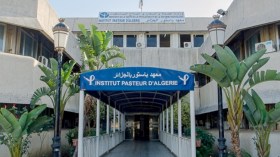 معهد باستور: المتغير أوميكرون هو السائد حاليًا في الجزائر