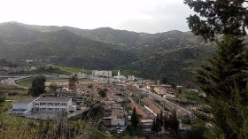 مشروع الغاز ببلدية المقراني يتسبب في هلاك أبقار الفلاحين