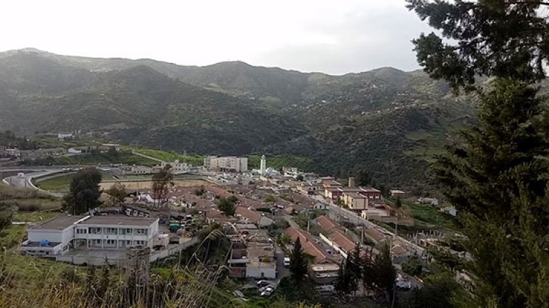 مشروع الغاز ببلدية المقراني يتسبب في هلاك أبقار الفلاحين