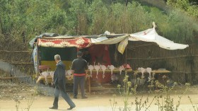 كورونا تهزم إمبراطورية “مقطع خيرة”