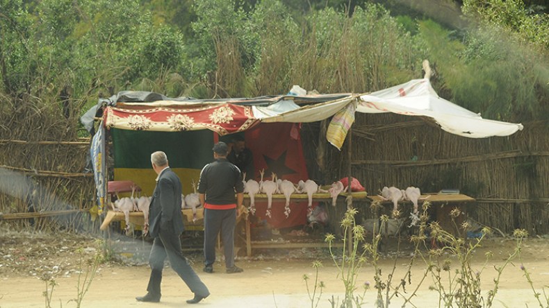 كورونا تهزم إمبراطورية “مقطع خيرة”