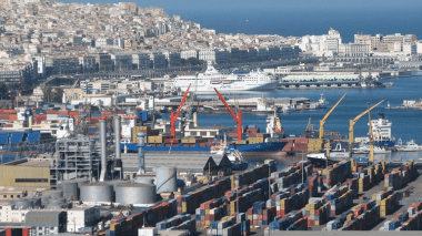 10 آلاف لتر من زيت الزيتون موجهة للتصدير.. قفزة نوعية وإضافة للإقتصاد الوطني