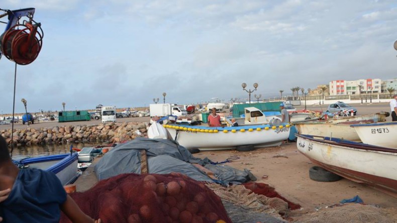 ظهور سمكة الأرنب القاتلة