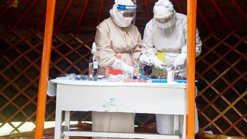 منغوليا تعلن عن إصابة جديدة بالطاعون الدبلي