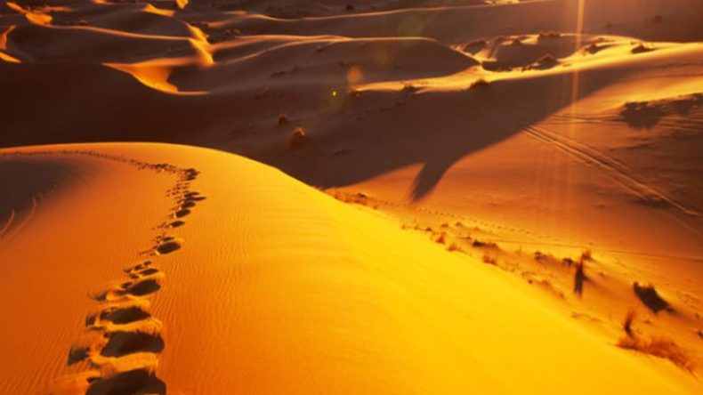 مدينة جزائرية تسجل أعلى درجة حرارة في العالم