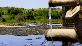 اختلاط مياه الشرب بمياه الصرف يهدد سكان حي الذاتي بالمغير
