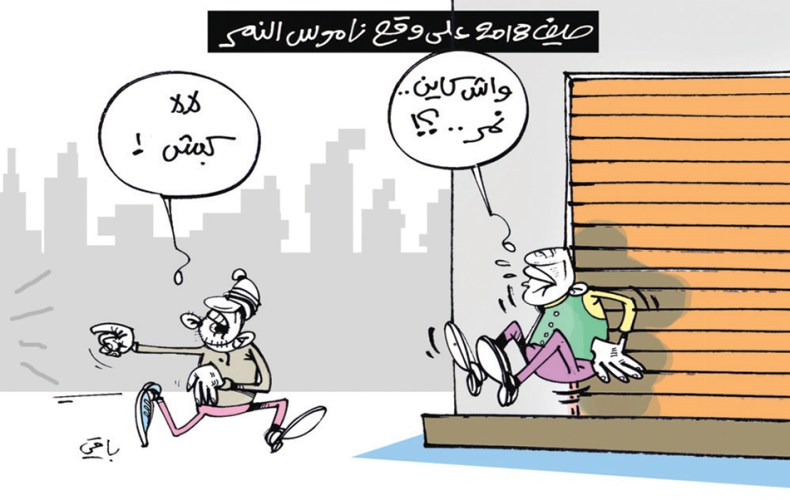 ناموس النمر