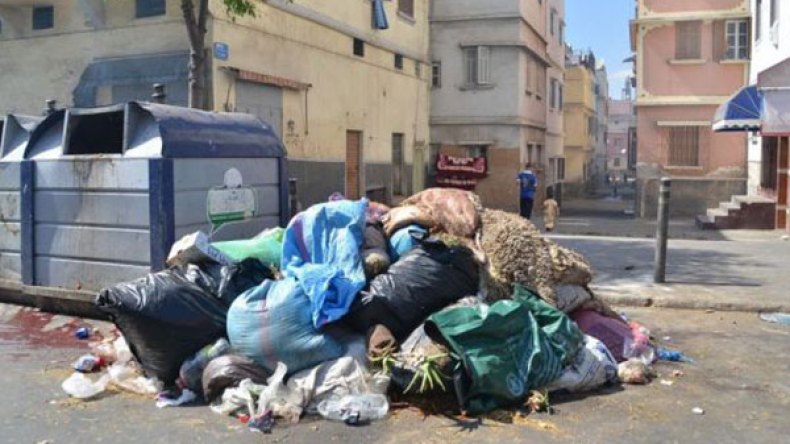 4500 عون نظافة لرفع القمامة أيام عيد الأضحى بالعاصمة