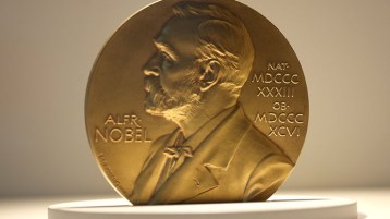 جائزة نوبل : قـوّة العقـل وقـوّة المـال…