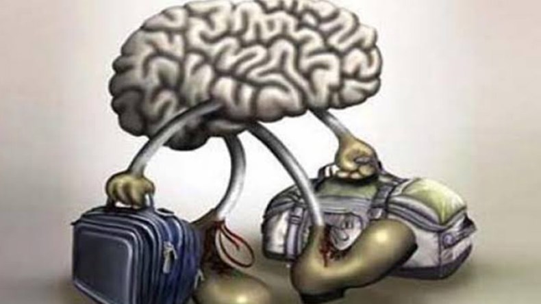 ما فائدة عودة الأدمغة؟!