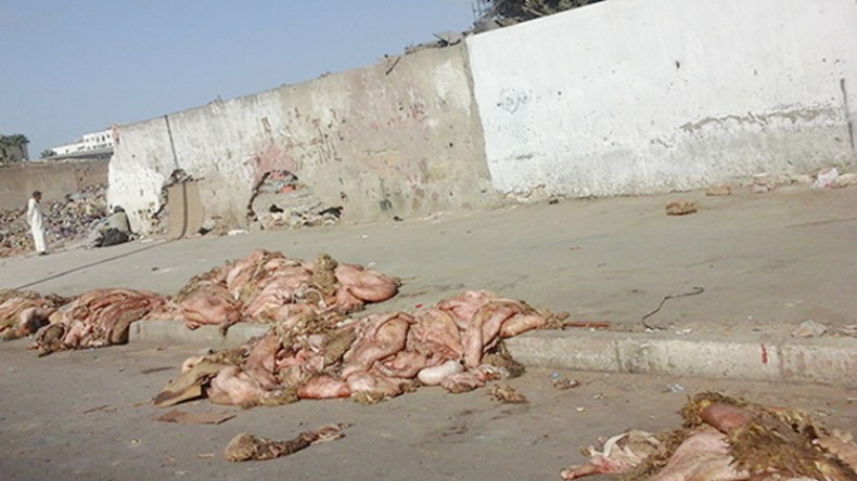 حاويات لجمع 800 ألف “هيدورة” عبر ست ولايات نموذجية