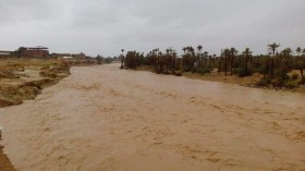 مسار الوادي المشروع الذي التهم على الورق مئات الملايير ببشار