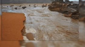 لجنة لتقصي الحقائق بوادي ميطر في بوسعادة بالمسيلة