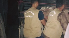 توزيع الأضاحي على الأيتام بولاية الوادي