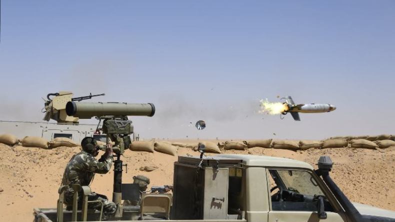 الفريق شنقريحة يشرف على تمرين بالذخيرة الحية بعين قزام