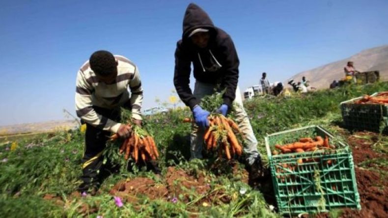 أزمة استيراد الخضر من المغرب: وزارة التجارة الموريتانية تصدر توضيحا