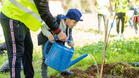 حملة لإعادة الاخضرار لغابتي بوشاوي والشريعة بعد الحرائق الأخيرة