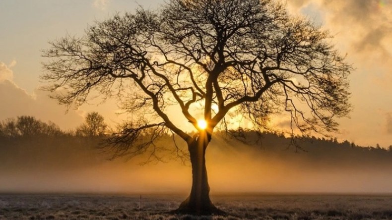 عِلمٌ يُخرِج من الجنة وعِلمٌ يُدخِل إلى الجنة