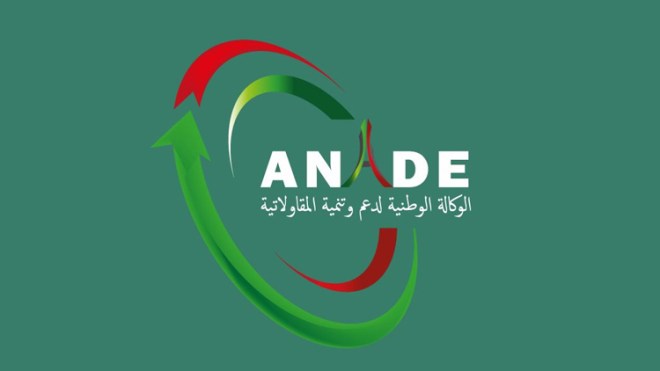 عمال الوكالة الوطنية لدعم وتنمية المقاولاتية يهددون بإضراب مفتوح