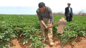 خارطة طريق للاستثمار في الإنتاج الفلاحي