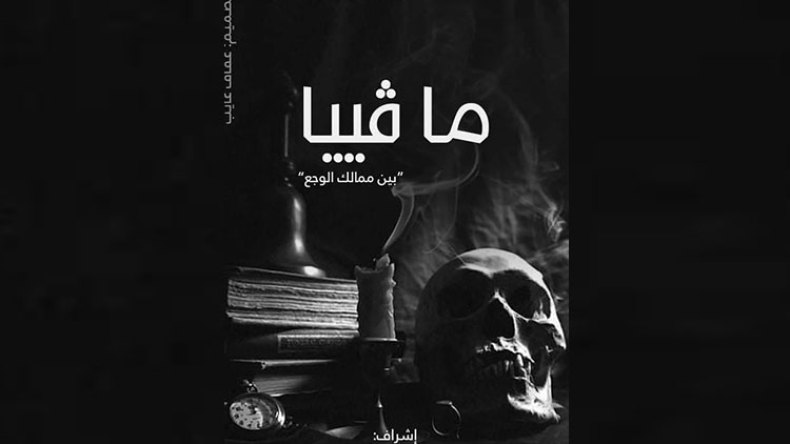 الكتاب الشباب يتعرضون لمحاكمات جاهزة من طرف أشباه النقاد