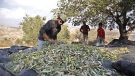 أخبار الجزائر ليوم الأحد 19 ديسمبر 2021