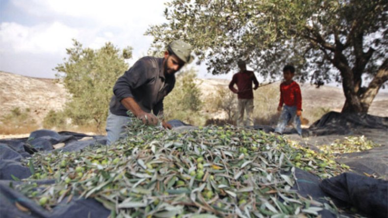 أخبار الجزائر ليوم الأحد 19 ديسمبر 2021