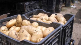 “نشاطنا مهدد بالزوال وهذه أسباب التهاب الأسعار”