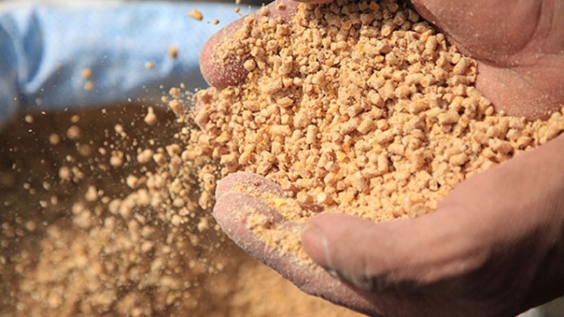 وصول أول دفعة من الأعلاف المعفاة من الضرائب