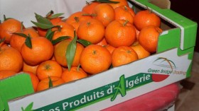 هذه كمية المنتجات الفلاحية التي صدرتها الجزائر منذ بداية 2021