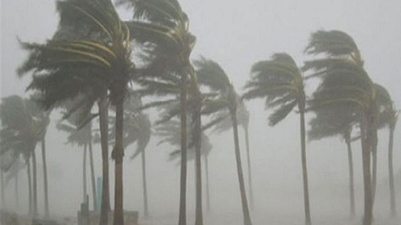 نشرية حول حالة الطقس: رياح وزوابع رملية عبر 5 ولايات