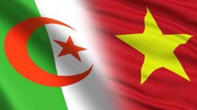 لُغــويًا : شَتّان بين الجزائر والفيتنام!